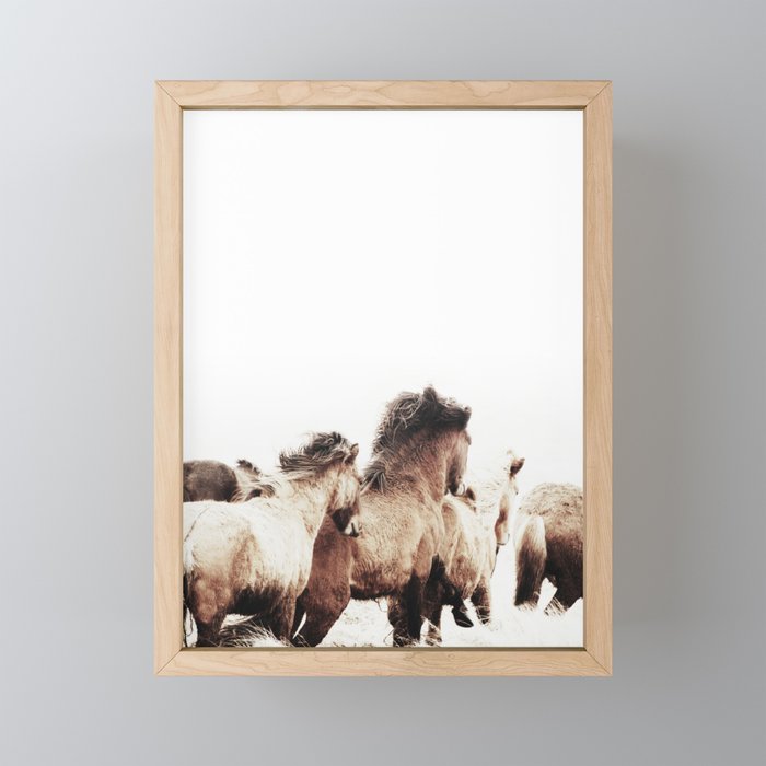 WILD AND FREE 2 - HORSES OF ICELAND Mini Art Print Gallery Image 1