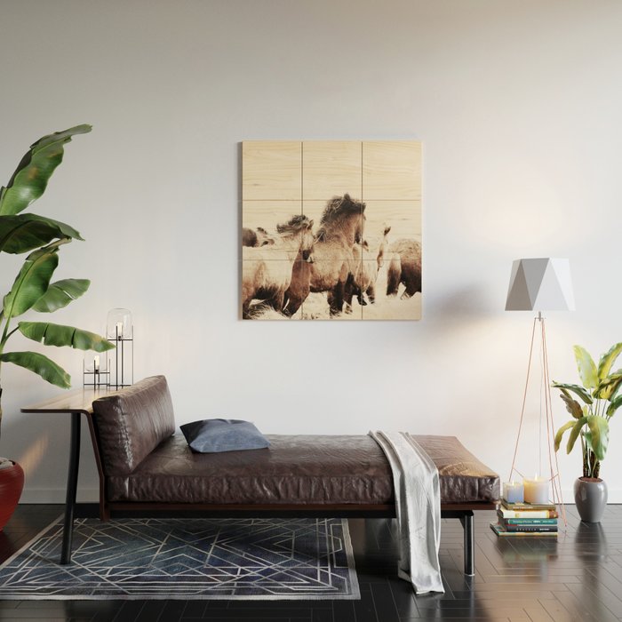 WILD AND FREE 2 - HORSES OF ICELAND Wood Wall Art Gallery Image 2
