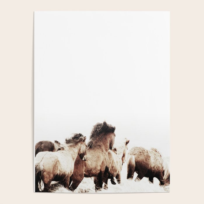 WILD AND FREE 2 - HORSES OF ICELAND Poster Gallery Image 4