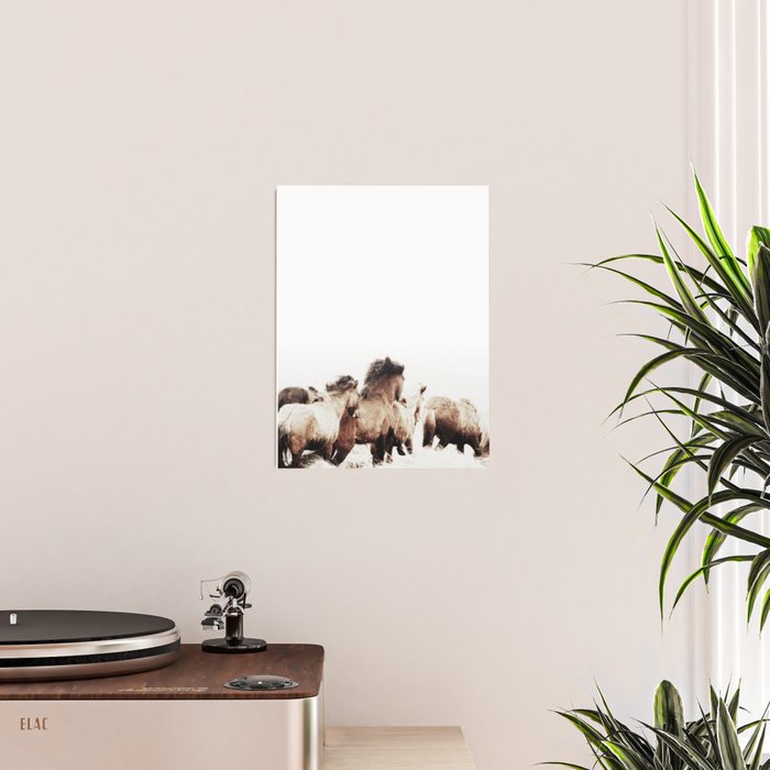 WILD AND FREE 2 - HORSES OF ICELAND Poster Gallery Image 2