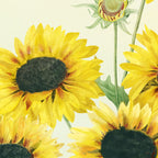 Sunflowers Coffee Mug Gallery Image 2