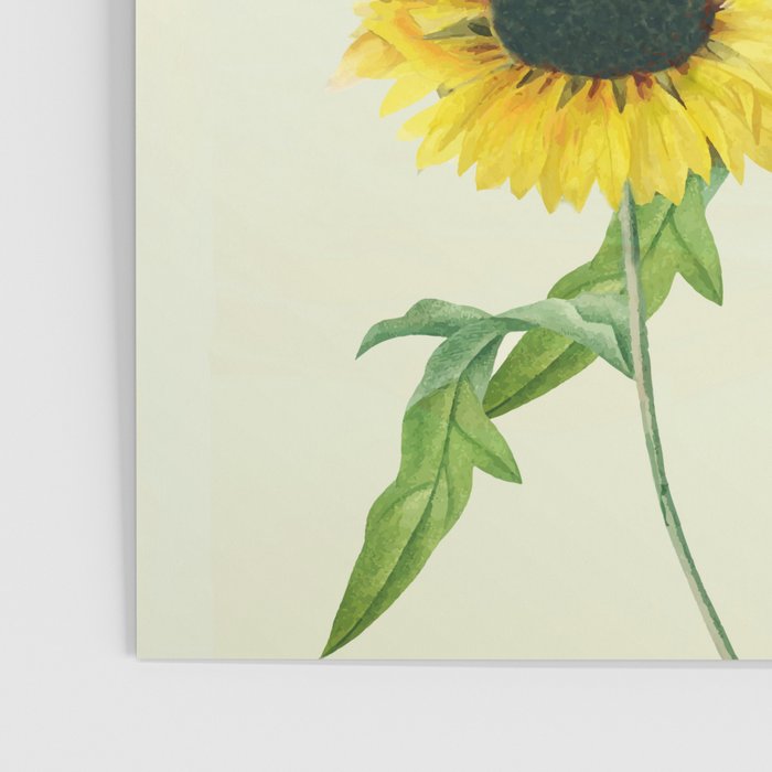 Sunflowers Poster Gallery Image 3