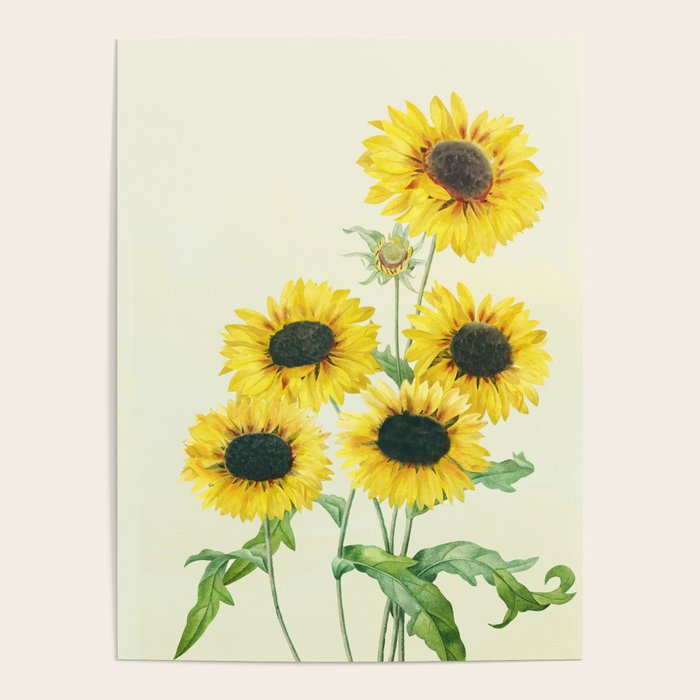 Sunflowers Poster Gallery Image 1