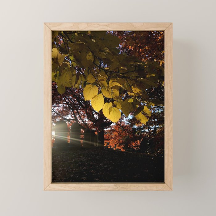 Liminal Days Mini Art Print Gallery Image 1