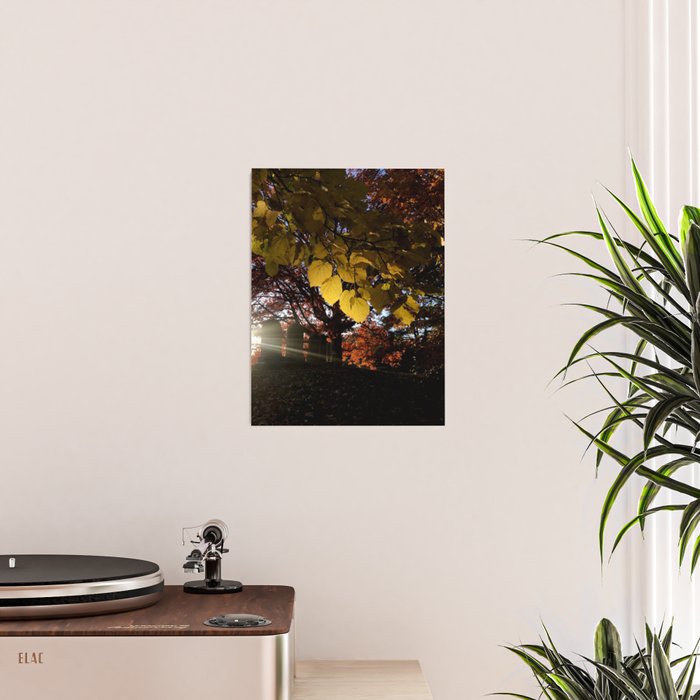 Liminal Days Poster Gallery Image 2