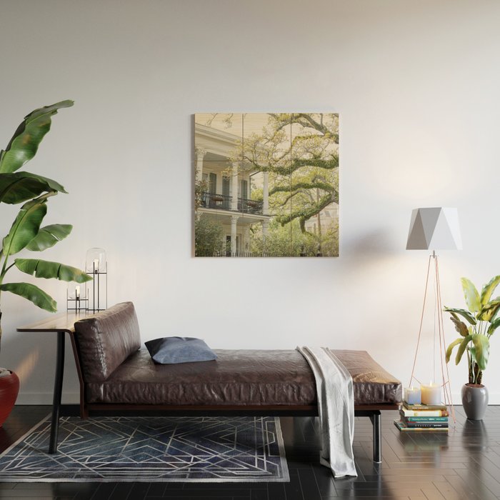 New Orleans Louisiana Photography x Uptown Oaks Wood Wall Art Gallery Image 2