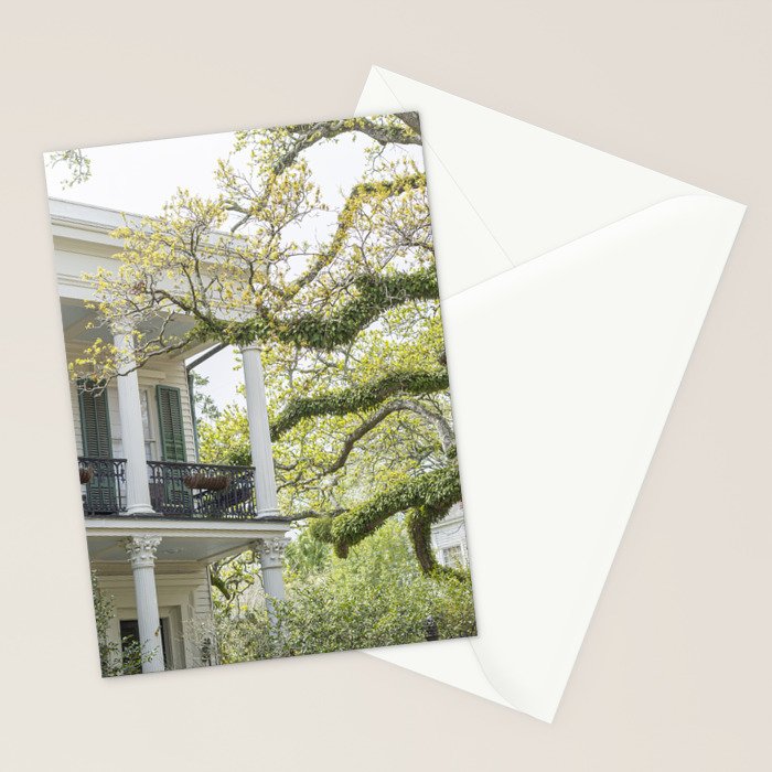 New Orleans Louisiana Photography x Uptown Oaks Stationery Card Gallery Image 2
