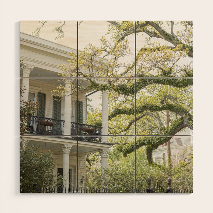 New Orleans Louisiana Photography x Uptown Oaks Wood Wall Art Gallery Image 1