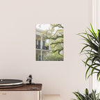 New Orleans Louisiana Photography x Uptown Oaks Poster Gallery Image 2