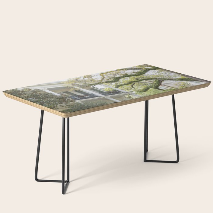 New Orleans Louisiana Photography x Uptown Oaks Coffee Table Gallery Image 1