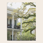 New Orleans Louisiana Photography x Uptown Oaks Poster Gallery Image 4