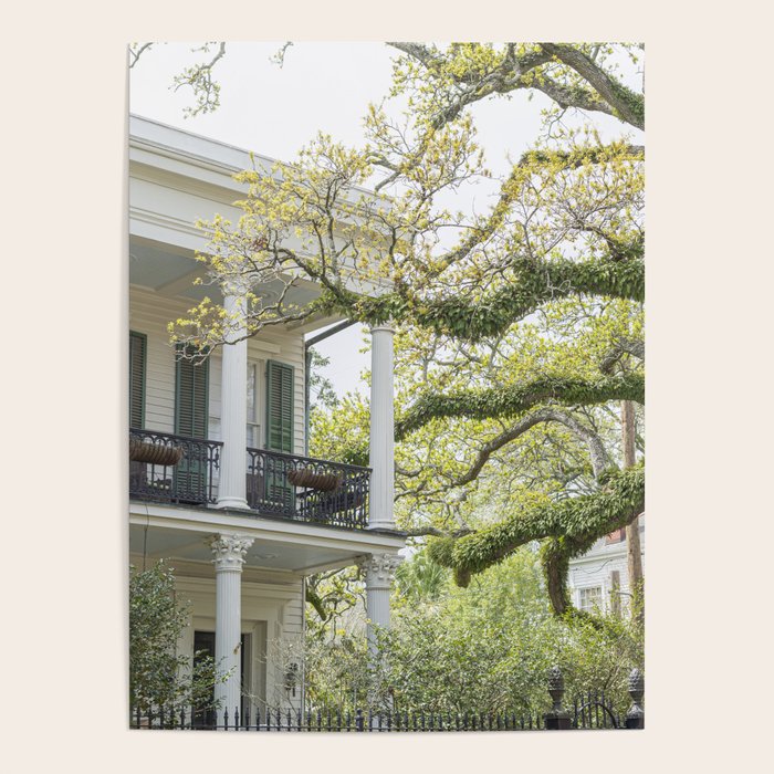 New Orleans Louisiana Photography x Uptown Oaks Poster Gallery Image 1