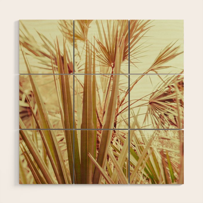 Tropical Morning Wood Wall Art Gallery Image 1