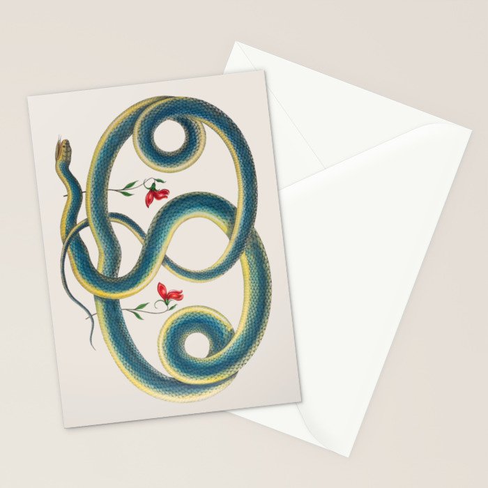 Albertus Seba Snakes Flowers Engraving Stationery Card Gallery Image 2
