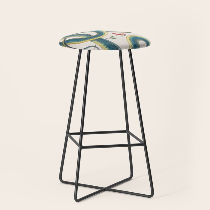 Albertus Seba Snakes Flowers Engraving Stool Gallery Image 1