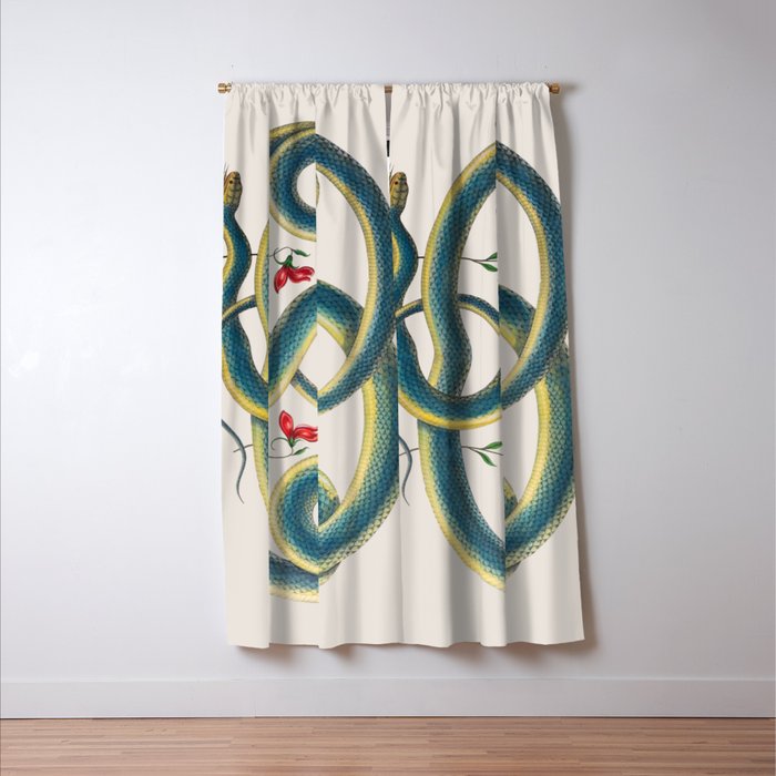 Albertus Seba Snakes Flowers Engraving Window Curtain Gallery Image 3