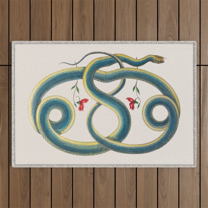 Albertus Seba Snakes Flowers Engraving Outdoor Rug Gallery Image 1