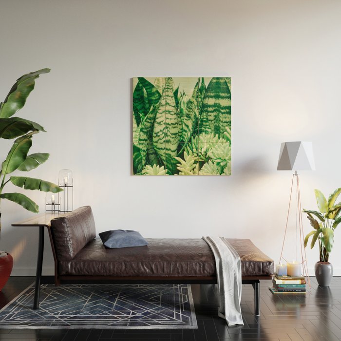 Succulents and Sansevieria houseplant botanical leaf photograph Wood Wall Art Gallery Image 2