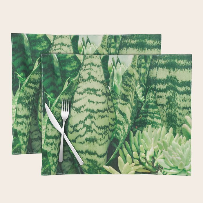 Succulents and Sansevieria houseplant botanical leaf photograph Placemat Gallery Image 1