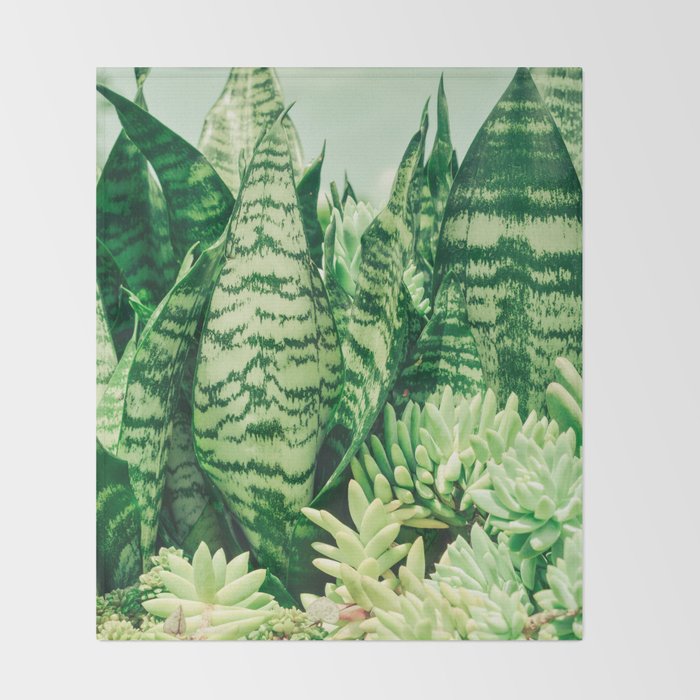 Succulents and Sansevieria houseplant botanical leaf photograph Throw Blanket Gallery Image 2
