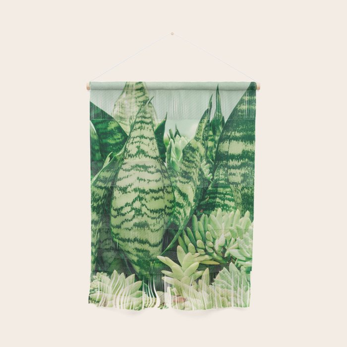 Succulents and Sansevieria houseplant botanical leaf photograph Wall Hanging Gallery Image 1