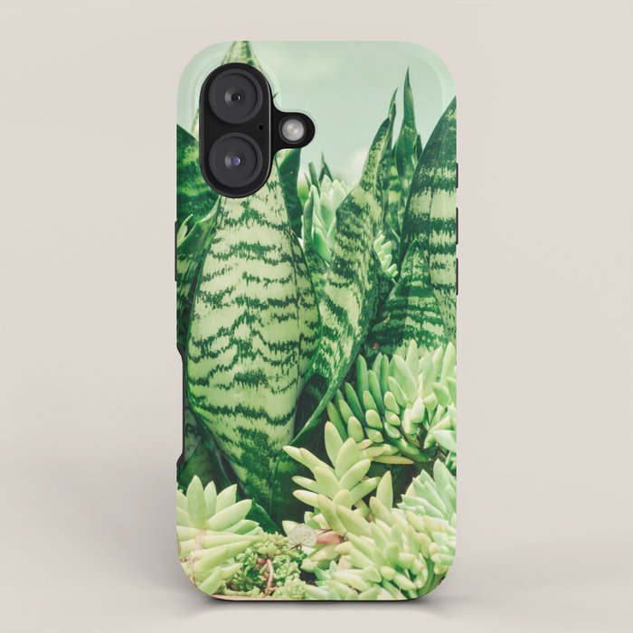 Succulents and Sansevieria houseplant botanical leaf photograph iPhone Case Gallery Image 1