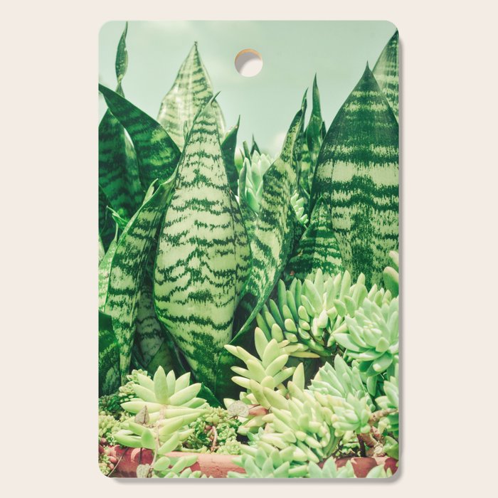 Succulents and Sansevieria houseplant botanical leaf photograph Cutting Board Gallery Image 1
