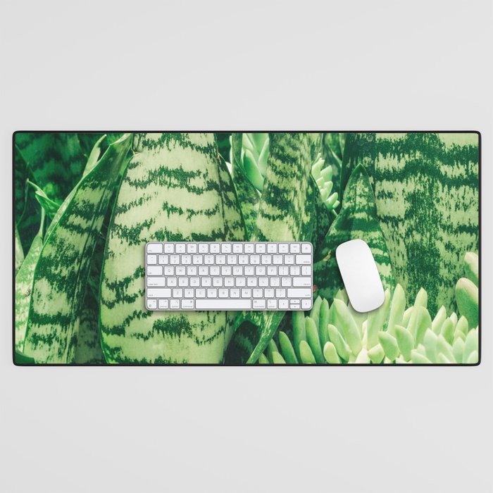 Succulents and Sansevieria houseplant botanical leaf photograph Desk Mat Gallery Image 1