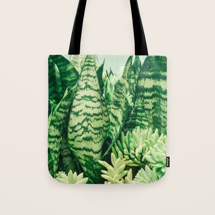 Succulents and Sansevieria houseplant botanical leaf photograph Tote Bag Gallery Image 1