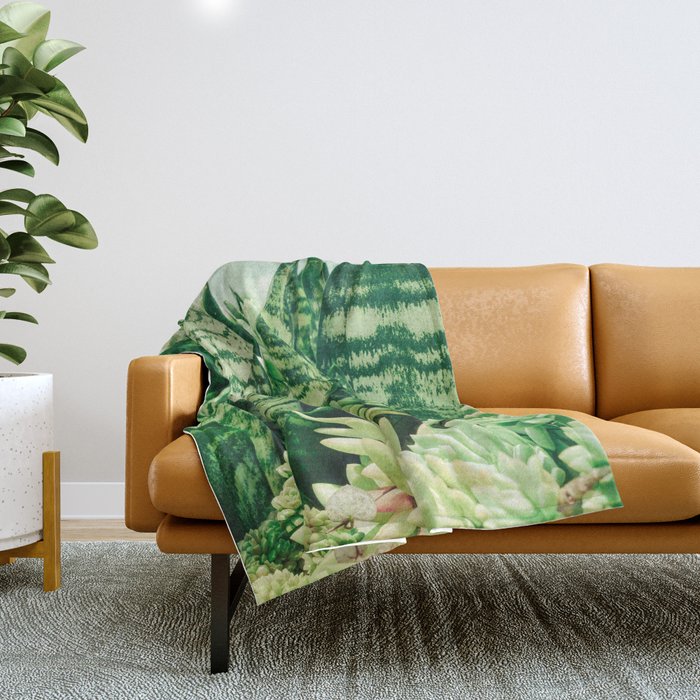 Succulents and Sansevieria houseplant botanical leaf photograph Throw Blanket Gallery Image 1