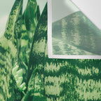 Succulents and Sansevieria houseplant botanical leaf photograph Wall Tapestry Gallery Image 3
