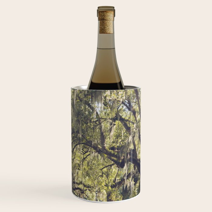 Audubon Park - New Orleans Wine Chiller Gallery Image 1