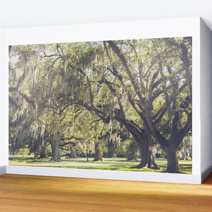 Audubon Park - New Orleans Wall Mural Gallery Image 2