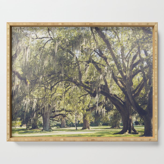 Audubon Park - New Orleans Serving Tray Gallery Image 1