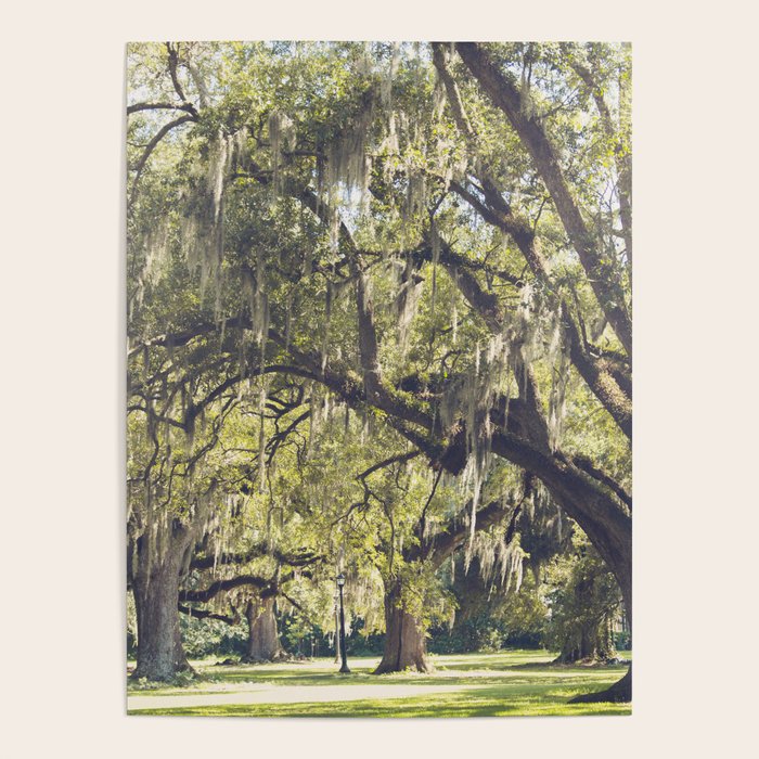 Audubon Park - New Orleans Poster Gallery Image 1