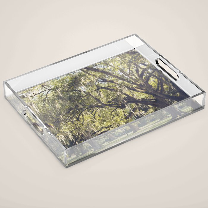 Audubon Park - New Orleans Acrylic Tray Gallery Image 1