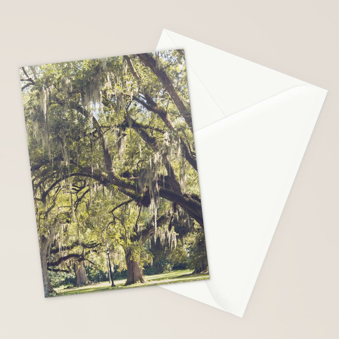 Audubon Park - New Orleans Stationery Card Gallery Image 2