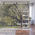 Audubon Park - New Orleans Wall Mural Gallery Image 1