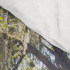 Audubon Park - New Orleans Comforter Gallery Image 4