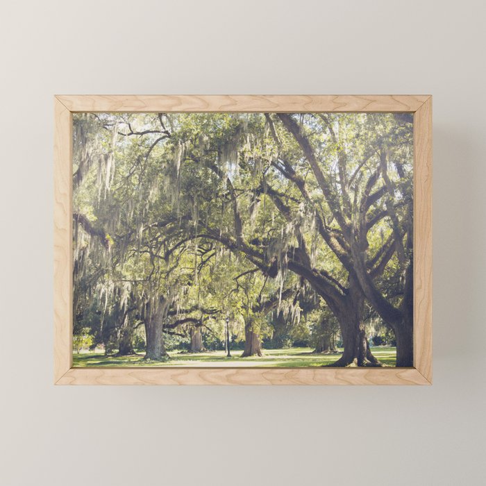 Audubon Park - New Orleans Mini Art Print Gallery Image 1