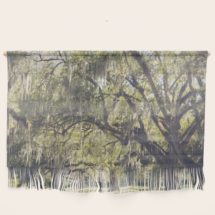 Audubon Park - New Orleans Wall Hanging Gallery Image 1