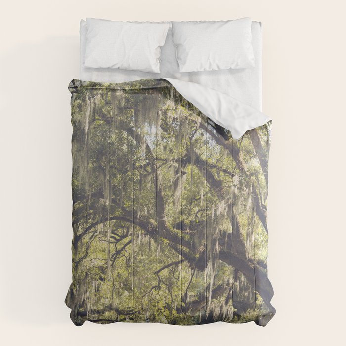 Audubon Park - New Orleans Comforter Gallery Image 6