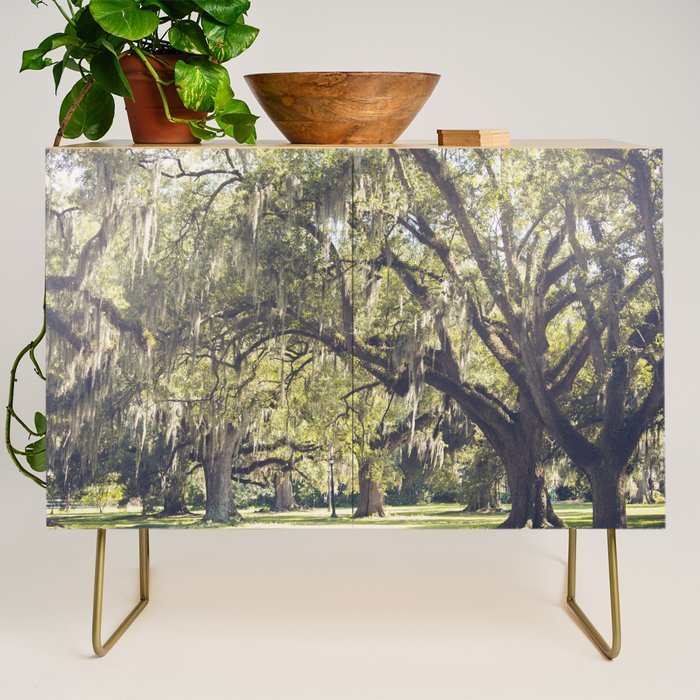 Audubon Park - New Orleans Credenza Gallery Image 1