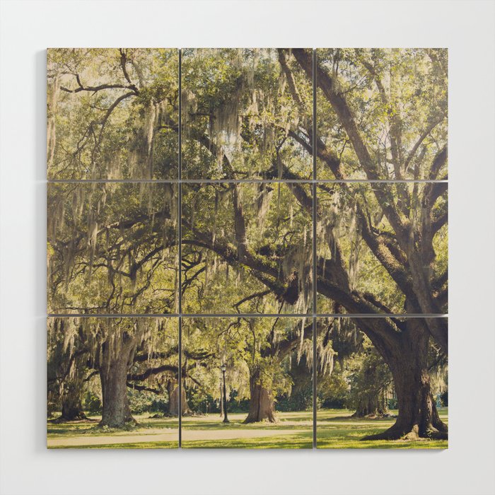 Audubon Park - New Orleans Wood Wall Art Gallery Image 1