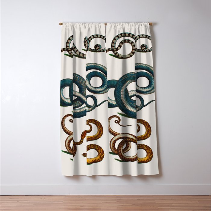Albertus Seba Coiled Big Blue  Window Curtain Gallery Image 3