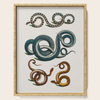 Albertus Seba Coiled Big Blue  Serving Tray Gallery Image 1