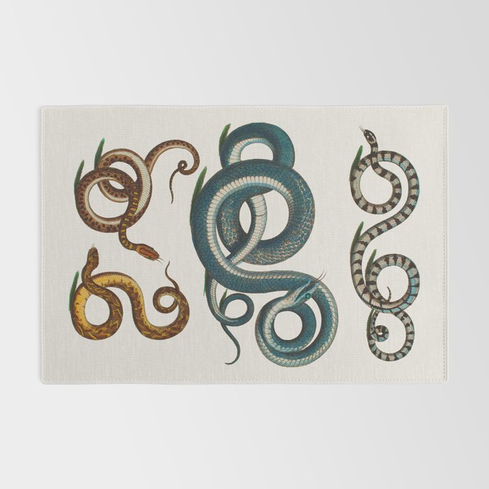 Albertus Seba Coiled Big Blue  Rug Gallery Image 2
