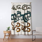 Albertus Seba Coiled Big Blue  Window Curtain Gallery Image 5
