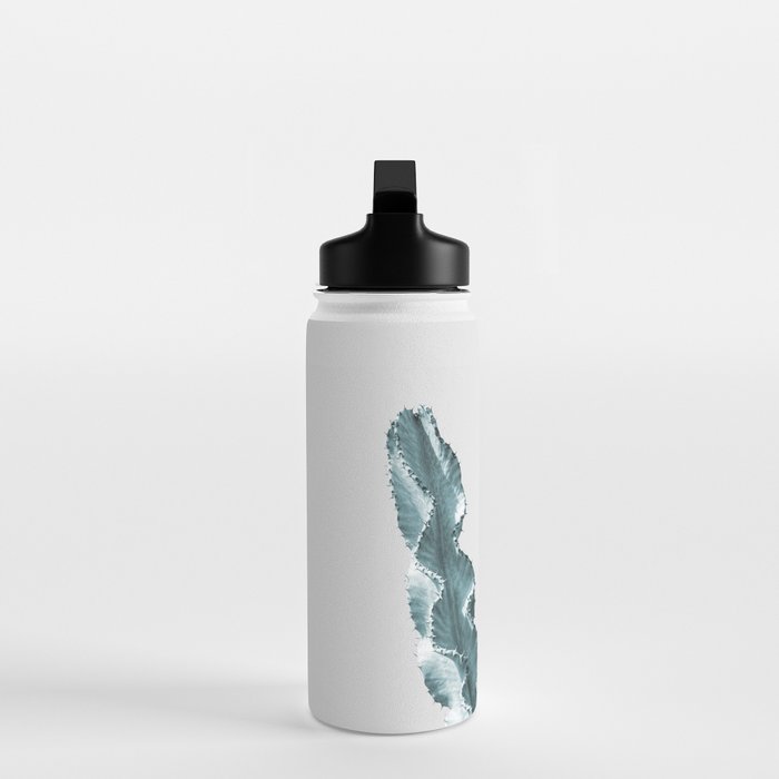 Cacti in Blue Water Bottle Gallery Image 3