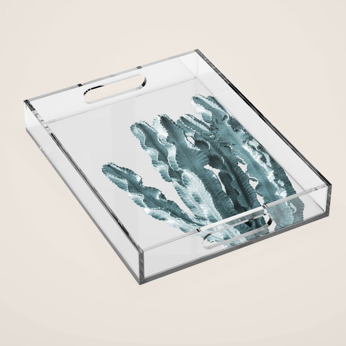 Cacti in Blue Acrylic Tray Gallery Image 1